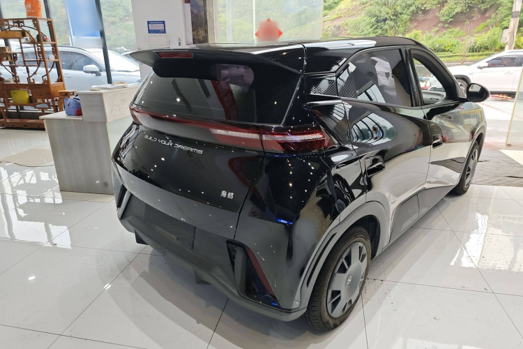 比亚迪 海鸥 2023款 活力版车身外观6003