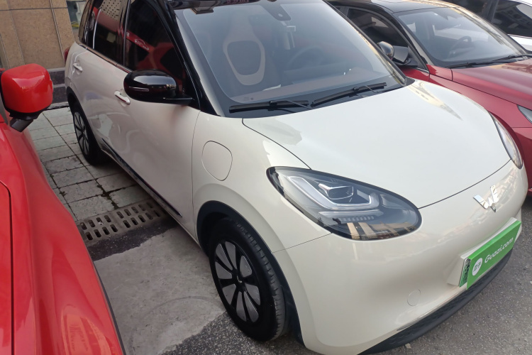 五菱汽车 五菱缤果 2023款 333km 灵犀互联款车身外观3