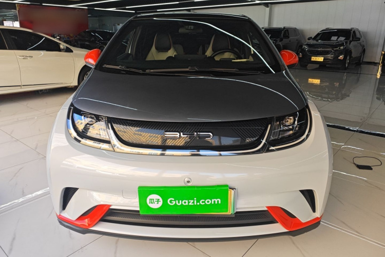 比亚迪 海豚 2021款 405km 时尚版车身外观2