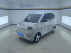 五菱汽车 宏光MINIEV 2024款 第三代 215km 进阶版