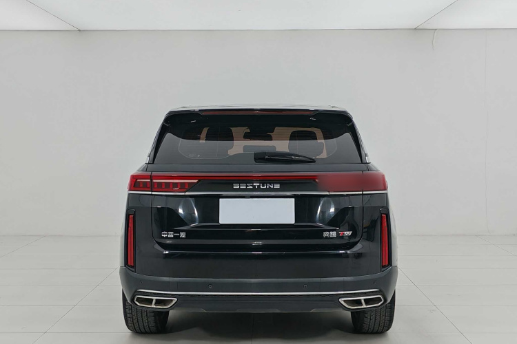 奔腾T99 2022款 20TD 自动运动尊享型特装版车身外观6002