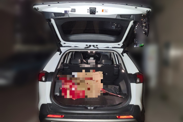 丰田 RAV4荣放 2024款 2.0L CVT两驱风尚Plus版中控内饰23