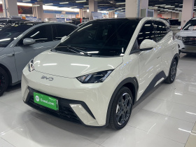 比亚迪 海鸥 2025款 405km 飞翔版