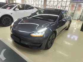 特斯拉 Model 3 2020款 标准续航后驱升级版