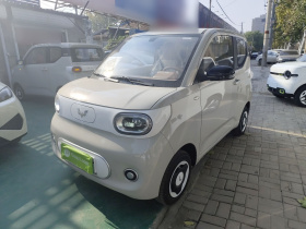 五菱汽车 宏光MINIEV 2024款 第三代 215km 青春版