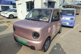 吉利汽车 2024款 熊猫mini 200km 耐力熊