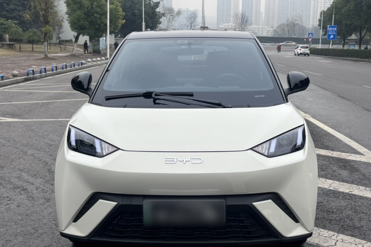 比亚迪 海鸥 2024款 荣耀版 305km 活力版车身外观6007