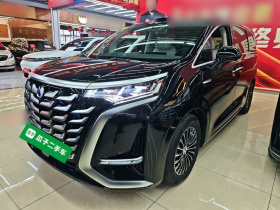 腾势D9 2025款 DM-i 四驱尊航型