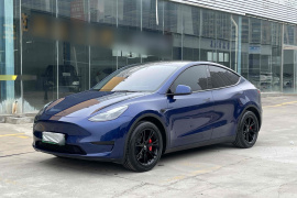 特斯拉 Model Y 2022款 后轮驱动版