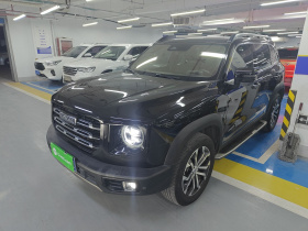 哈弗大狗 2021款 1.5T DCT两驱边牧版