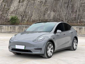 特斯拉 Model Y 2022款 后轮驱动版