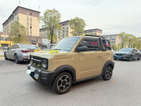 吉利银河 2024款 200km 熊猫骑士