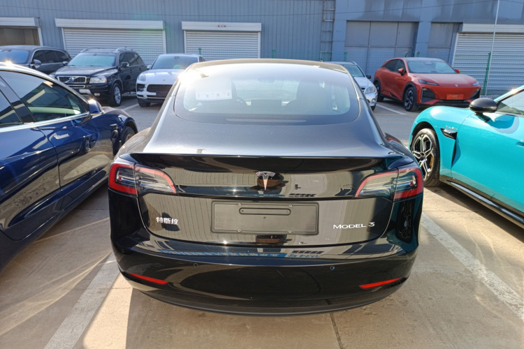 特斯拉 Model 3 2021款 标准续航后驱升级版 3D6车身外观6004