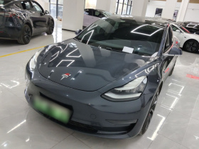 特斯拉 Model 3(进口) 2019款 长续航后驱版