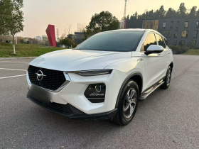 海马8S 2019款 1.6TGDI 手动劲版