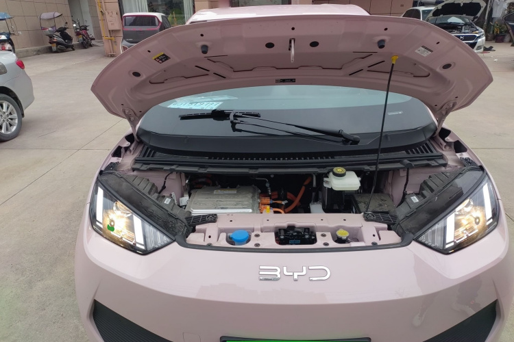 比亚迪 海鸥 2025款 305km 活力版机舱底盘24