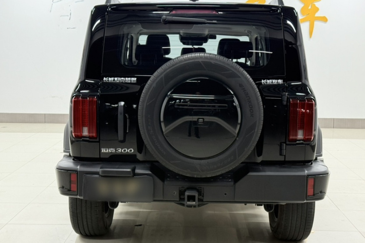 坦克300 2024款 2.0T 征服者车身外观6002