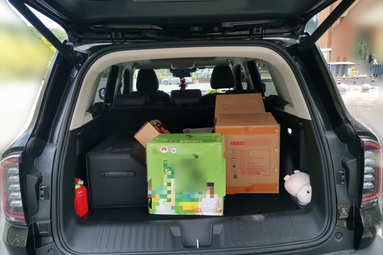 哈弗大狗 2024款 1.5T DCT边牧版局部细节23