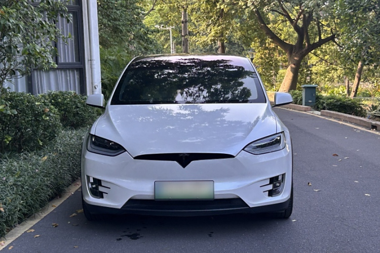 特斯拉 Model X 2019款 长续航版车身外观6003