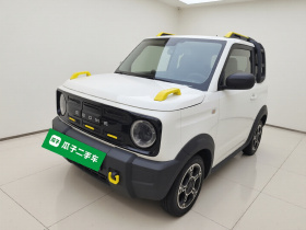 吉利银河 2024款 200km 熊猫骑士