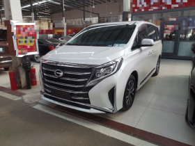 广汽传祺 传祺M8 2023款 领秀系列 390T 豪华版