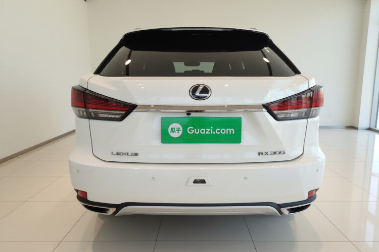 雷克萨斯RX 2020款 改款 300 两驱精英版车身外观6