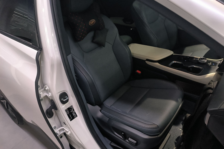 雷克萨斯RZ 2023款 450e 四驱纵享版局部细节41