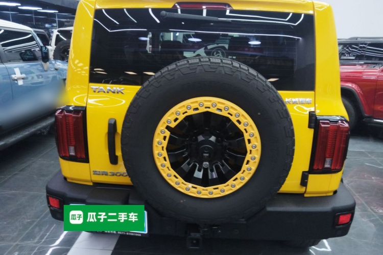 坦克300 2022款 2.0T 边境限定版车身外观6