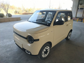 吉利银河 熊猫 2025款 210km 元气熊