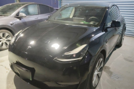 特斯拉 Model Y 2021款 长续航全轮驱动版
