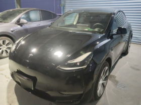 特斯拉 Model Y 2021款 长续航全轮驱动版