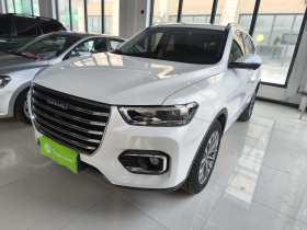 哈弗H6 2020款 1.5GDIT 自动铂金冠军版