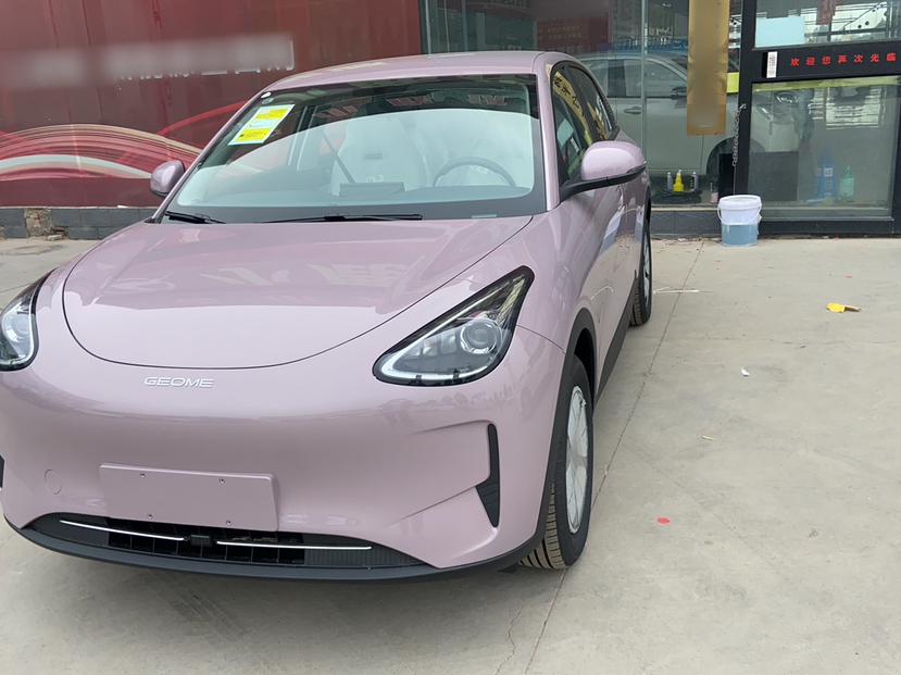 吉利汽车 星愿 2025款 310km 青春版