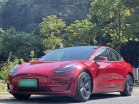 特斯拉 Model 3 2020款 改款 标准续航后驱升级版