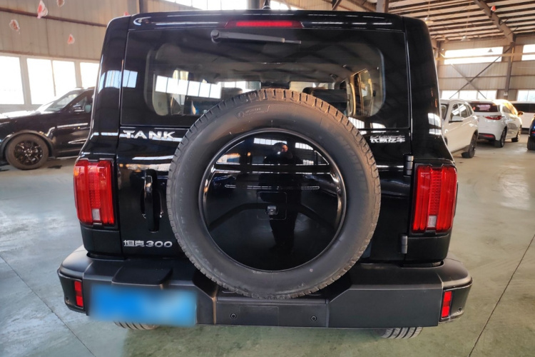 坦克300 2021款 城市版 2.0T 很有型车身外观6