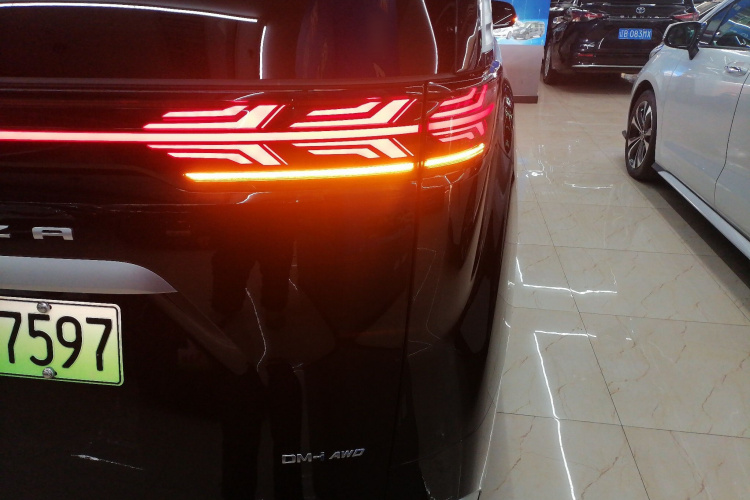 腾势D9 2024款 DM-i 980 四驱尊荣型车身外观9