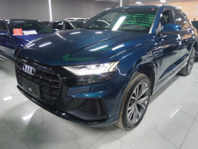 奥迪Q8 2021款 55 TFSI 臻选动感型
