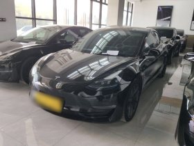 特斯拉 Model 3 2022款 Performance高性能全轮驱动版