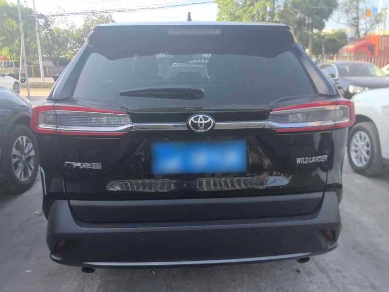 丰田 威兰达 2024款 2.0L CVT两驱领先版(4)