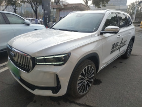 吉利汽车 星越L智擎 2024款 1.5T 天宫版