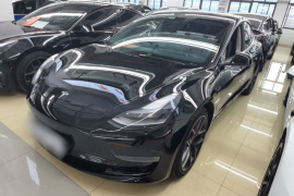 特斯拉 Model 3 2022款 Performance高性能全轮驱动版