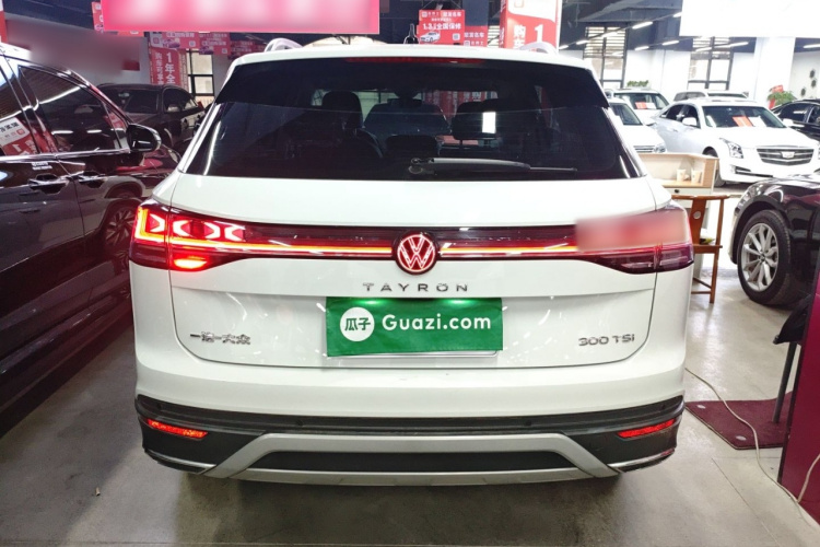 大众 探岳 2024款 300TSI 两驱豪华Plus进阶版车身外观6004