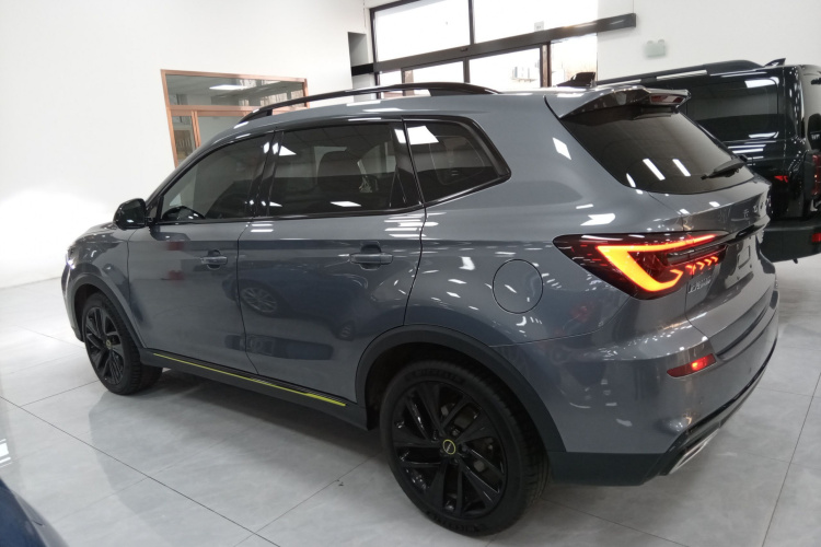 荣威RX5 2021款 PLUS 300TGI 自动Ali国潮旗舰荣麟版车身外观4