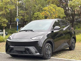 比亚迪 海鸥 2023款 活力版