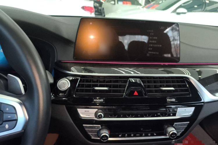 宝马5系 2019款 改款 530Li 领先型 M运动套装局部细节16