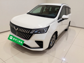 五菱汽车 五菱佳辰 2022款 1.5L 手动轻享舒适型