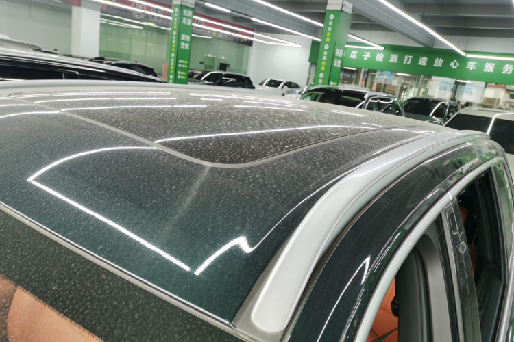 魏牌 蓝山 2023款 四驱超长续航版局部细节57