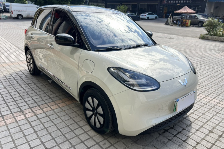 五菱汽车 五菱缤果 2023款 333km 悦享+款车身外观6008