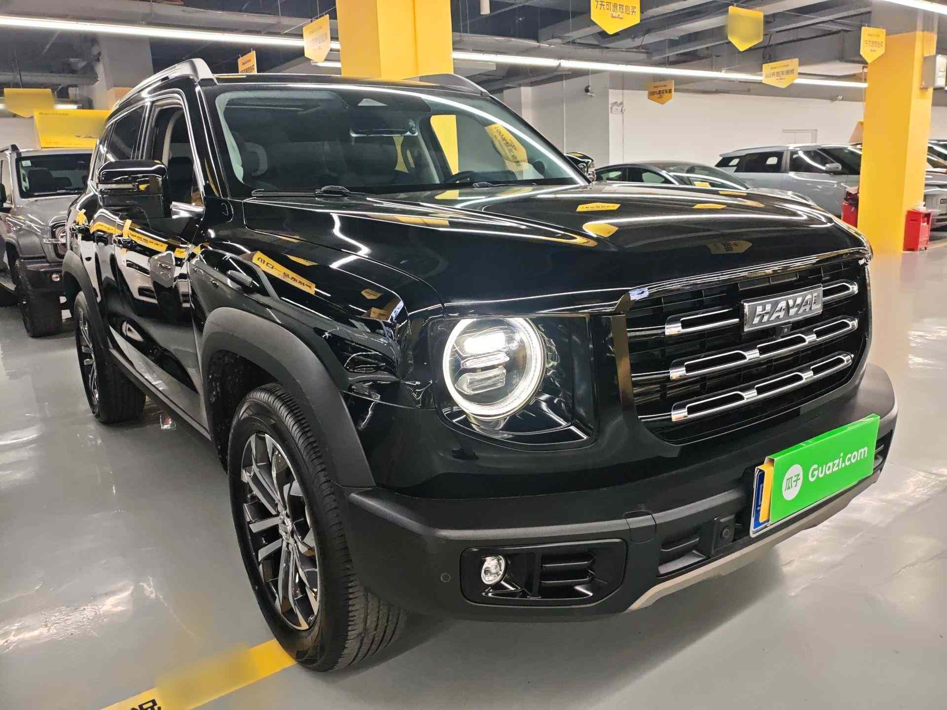 哈弗大狗 2022款 1.5T DCT两驱边牧版(5)