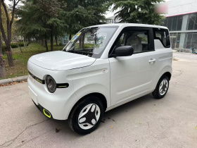 吉利银河 熊猫 2025款 210km 元气熊